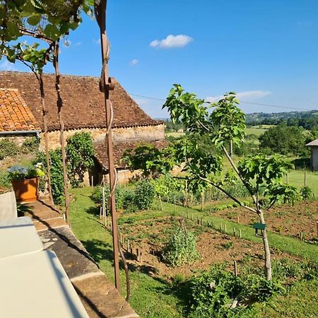 Les Peyronnies Villa Figeac Eksteriør billede